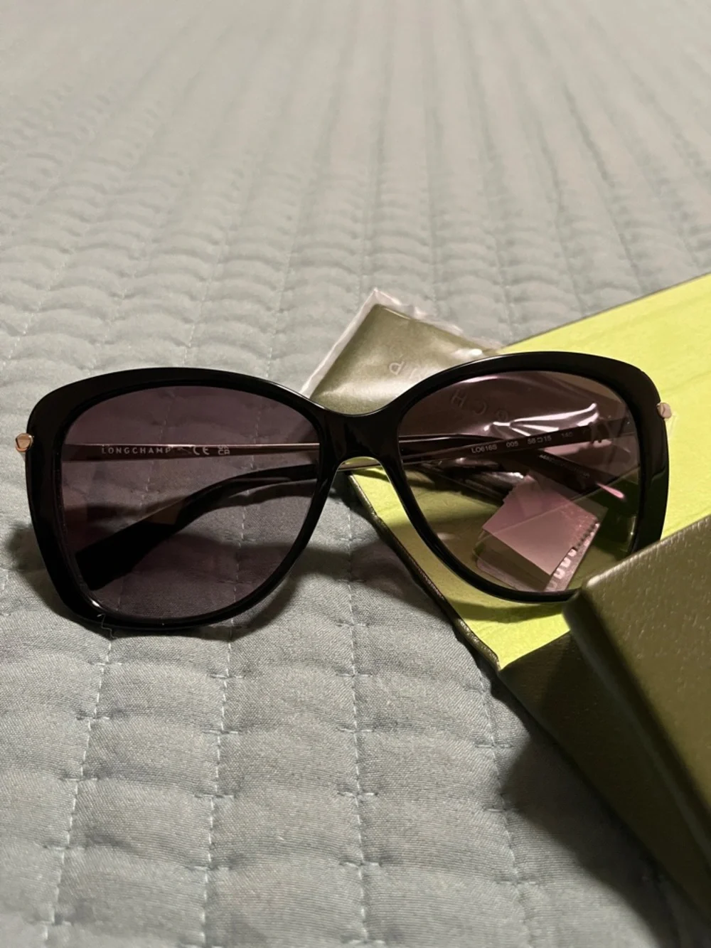 New Longchamp Women's Gradient Oversized Sunglasses